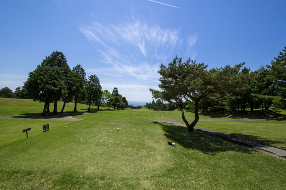 田子の浦