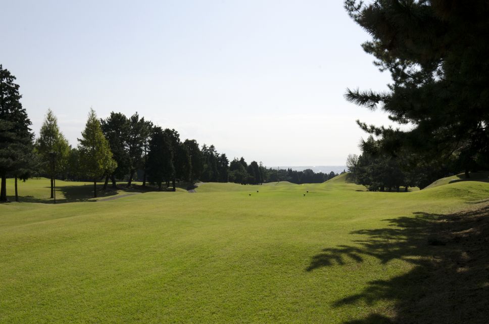 田子の浦