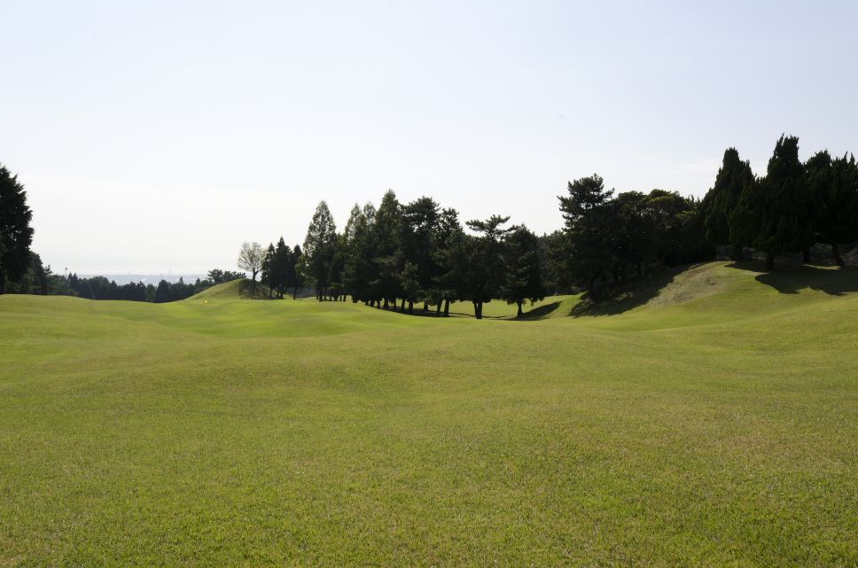 田子の浦