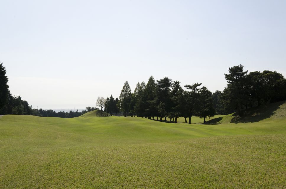 田子の浦