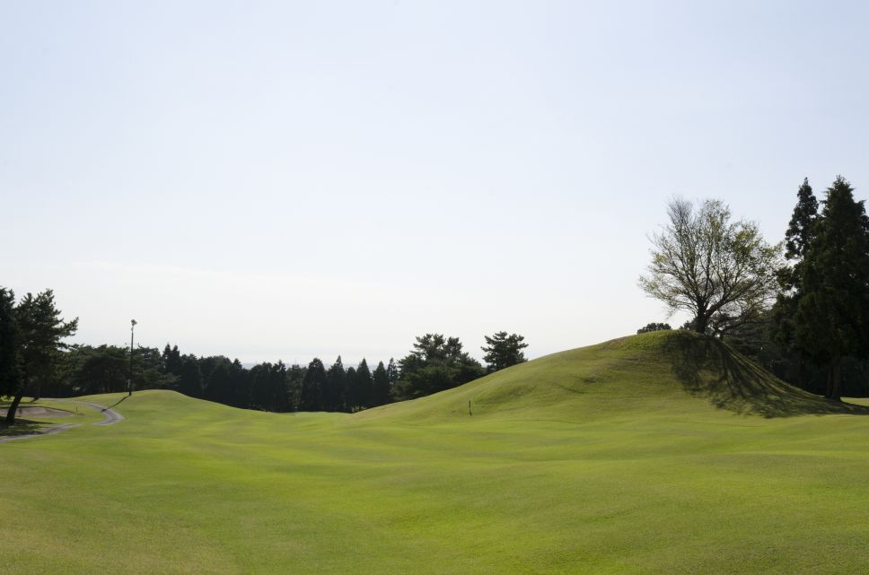 田子の浦