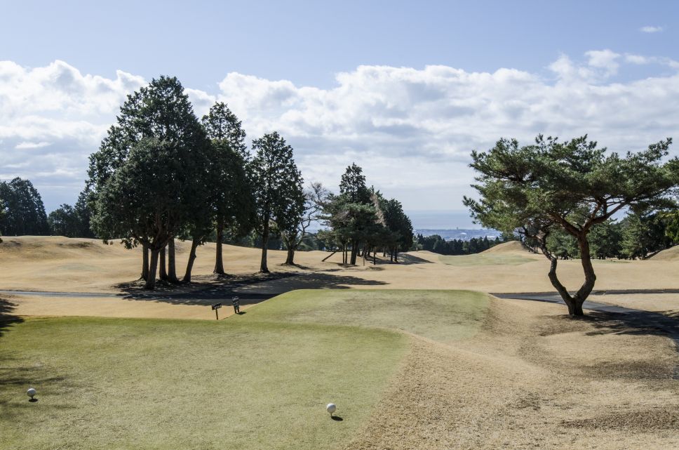 田子の浦