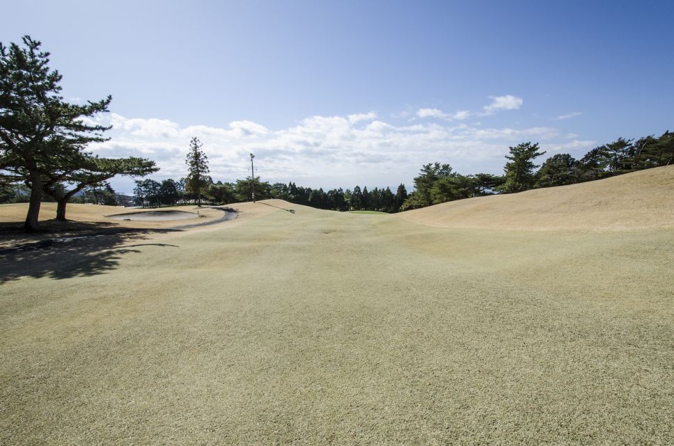 田子の浦